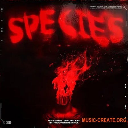 ProofOnTheTrack Spicies Drum Kit