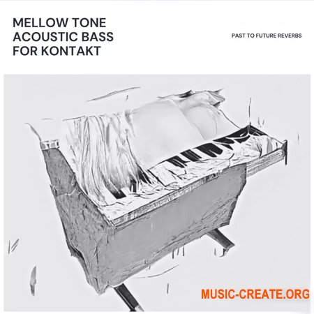 PastToFutureReverbs Mellow Tone Acoustic Bass