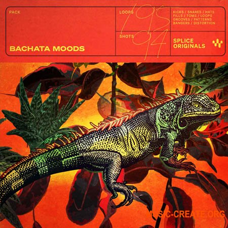 Splice Originals Bachata Moods