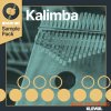 Klevgrand Kalimba OneShot Kit WIN macOS (OneShot extension) Klevgrand Kalimba OneShot Kit WIN macOS (OneShot extension)