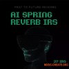 PastToFutureReverbs AI Spring Reverb Impulse Responses IRs (WAV) PastToFutureReverbs AI Spring Reverb Impulse Responses IRs (WAV)