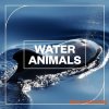 Blastwave FX Water Animals (WAV)