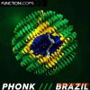 Function Loops PHONK Brazil (WAV) Function Loops PHONK Brazil (WAV)