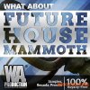 W. A. Production Future House Mammoth (WAV, MiDi, FLP, SYLENTH1, SERUM PRESETS) W. A. Production Future House Mammoth (WAV, MiDi, FLP, SYLENTH1, SERUM PRESETS)