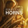 Big Fish Audio First Call Horns v2.0 (KONTAKT) Big Fish Audio First Call Horns v2.0 (KONTAKT)