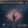 Void & Vista Strands (KONTAKT)
