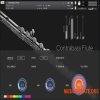 Auddict Daniela Mars Contrabass Flute (KONTAKT) Auddict Daniela Mars Contrabass Flute (KONTAKT)