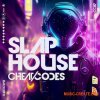 Black Octopus Slow Slap House Cheat Codes (WAV) Black Octopus Slow Slap House Cheat Codes (WAV)