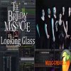 RE Music The Birthday Massacre Looking Glass (FLP / MIDI Files + HQ WAV) RE Music The Birthday Massacre Looking Glass (FLP / MIDI Files + HQ WAV)