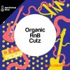 Multiton Bits Organic RnB Cutz (WAV) Multiton Bits Organic RnB Cutz (WAV)