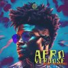Atlas Audio AFROVERDOSE (WAV, MiDi)