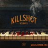 DopeBoyzMuzic Killshot Vol.2 (WAV) DopeBoyzMuzic Killshot Vol.2 (WAV)