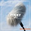 Blastwave FX Foley Vol. 1 (WAV)