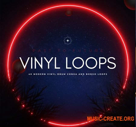 PastToFutureReverbs 40 Modern Vinyl Drum Conga and Bongo Loops! (WAV)