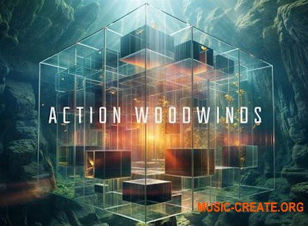 Native Instruments Action Woodwinds v1