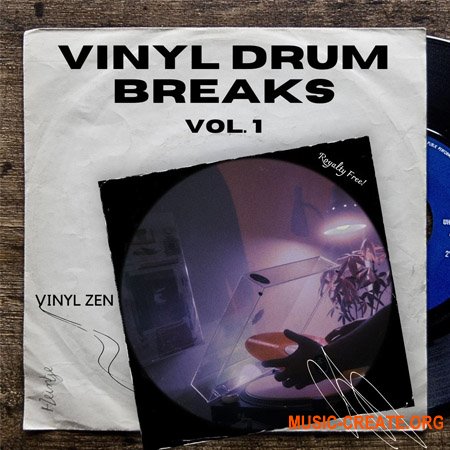 PastToFutureReverbs Vinyl Drum Breaks Vol.1 (WAV)
