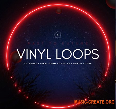 PastToFutureReverbs 40 Modern Vinyl Drum Conga and Bongo Loops!