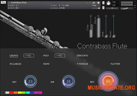 Auddict Daniela Mars Contrabass Flute