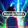 Roundel Sounds Sounds Funky (WAV MiDi) Roundel Sounds Sounds Funky (WAV MiDi)