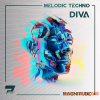 Polarity Studio Magnitude [Melodic Techno Diva Presets] (MULTiFORMAT)