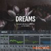 Baisc Wavez Dreams - Melodic House & Techno Presets for Serum (Serum presets) Baisc Wavez Dreams - Melodic House & Techno Presets for Serum (Serum presets)
