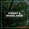 Blastwave FX Forest and Woodlands (WAV)