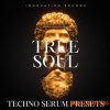 Innovation Sounds True Soul - Techno Serum Presets (FXP)
