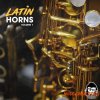 Vanilla Groove Studios Latin Horns Vol 1 (WAV) Vanilla Groove Studios Latin Horns Vol 1 (WAV)