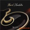 Musical Sampling Hoard Mandolin v1.1.0 (KONTAKT)