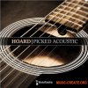 Musical Sampling Hoard Picked Acoustic v1.1.0 (KONTAKT)