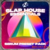 Big Z Sounds Big Z's Slap House Essentials (FXP) Big Z Sounds Big Z's Slap House Essentials (FXP)