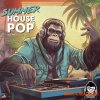 Vanilla Groove Studios Summer Pop House Vol 1 (WAV) Vanilla Groove Studios Summer Pop House Vol 1 (WAV)