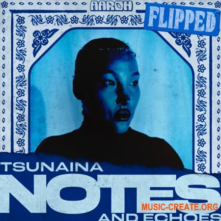 Aaroh TSUNAINA - Notes and Echoes (WAV)