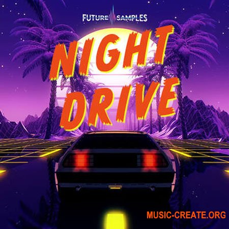 Future Samples NIGHT DRIVE - Synthwave Melodies (WAV)