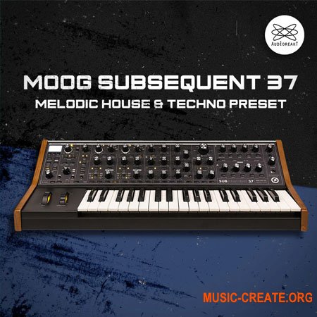 Audioreakt MOOG Subsequent 37