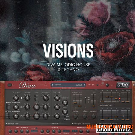 Baisc Wavez Visions - Melodic House & Techno