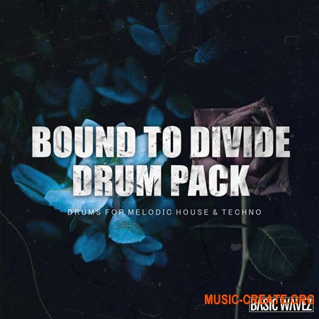 Baisc Wavez Bound to Divide Drum Pack