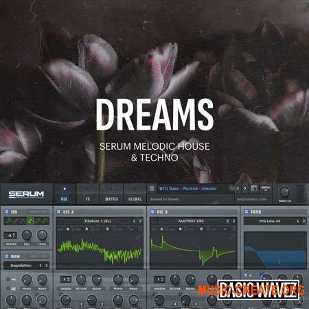 Baisc Wavez Dreams