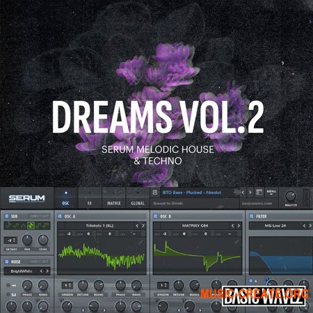 Baisc Wavez Dreams Vol. 2