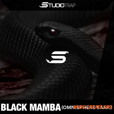 Studio Trap Black Mamba