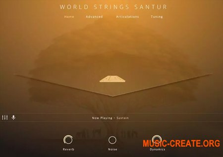 Evolution Series World Strings Santur