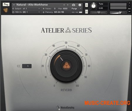 Musical Sampling Atelier Series Austin Saxes