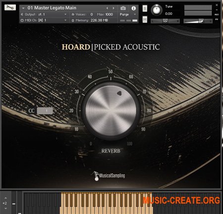 Musical Sampling Hoard Picked Acoustic