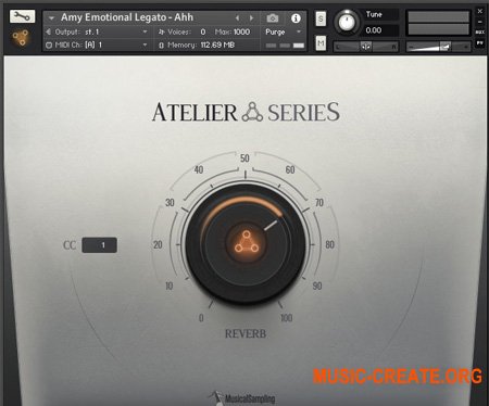 Musical Sampling Atelier Series Amy