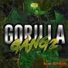 Empire Soundkits Gorilla Gang 2 (WAV, MiDi)