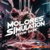 Molores SIMULATION Sound Kit / Serum Bank (WAV MiDi FST SERUM) Molores SIMULATION Sound Kit / Serum Bank (WAV MiDi FST SERUM)