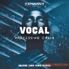 Expansive Academy Vocal Processing Chain (Ableton/Logic) Expansive Academy Vocal Processing Chain (Ableton/Logic)