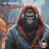 Vanilla Groove Studios UK Garage Essentials Vol 1 (WAV)