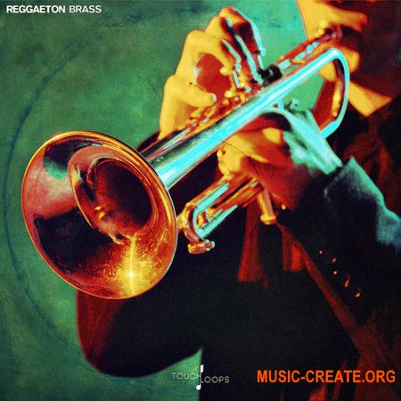 Touch Loops Reggaeton Brass (WAV)