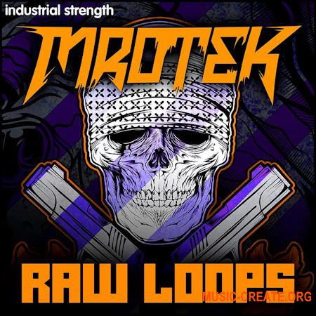 Industrial Strength Mrotek Raw Loops (WAV)